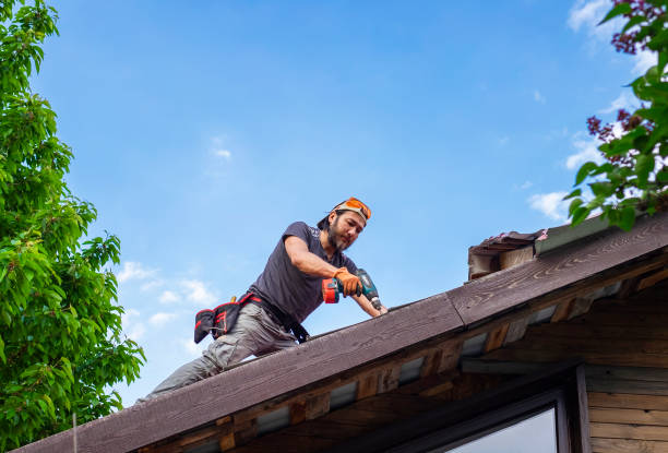 Best Roof Maintenance and Cleaning  in Womelsdorf, PA